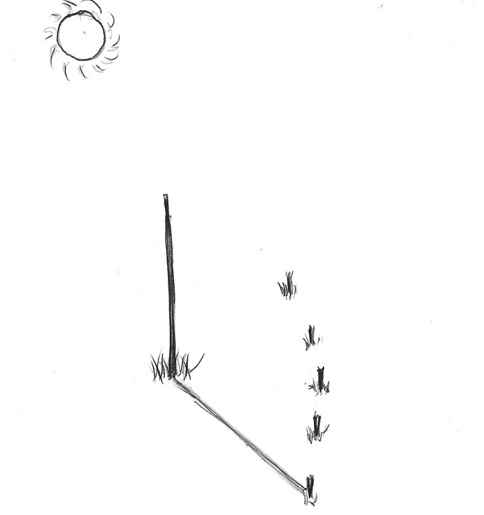 The Shadow Stick Woodland Ways Blog Bushcraft and Survival
