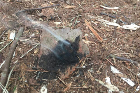 Dig, make, fire – Woodland Ways Blog – Bushcraft and Survival