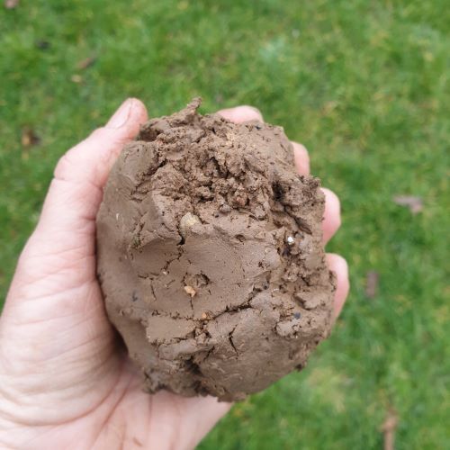 Dig, make, fire – Woodland Ways Blog – Bushcraft and Survival