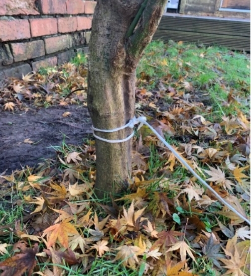 The mighty flip flop winch Woodland Ways Blog Bushcraft and Survival