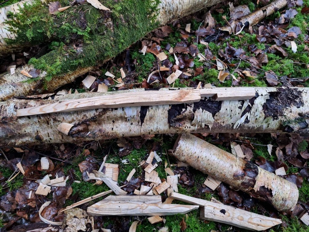 Siberian Split Trigger Trap – Woodland Ways Blog – Bushcraft and