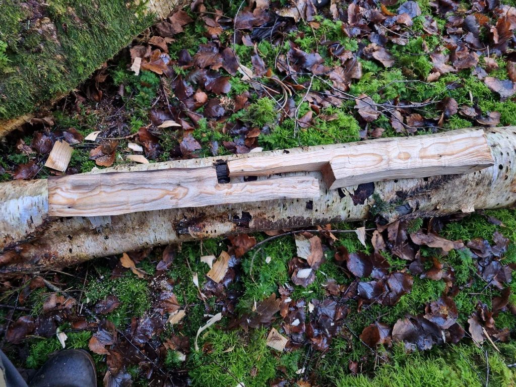 Siberian Split Trigger Trap – Woodland Ways Blog – Bushcraft and